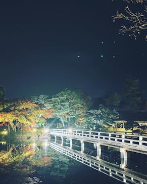 国営昭和記念公園 秋の夜散歩に投稿された画像（2022/11/15）