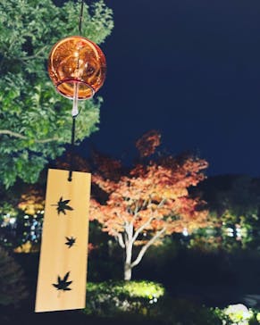 国営昭和記念公園 秋の夜散歩に投稿された画像（2022/11/15）