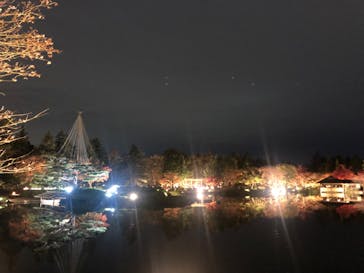 国営昭和記念公園 秋の夜散歩に投稿された画像（2022/11/15）