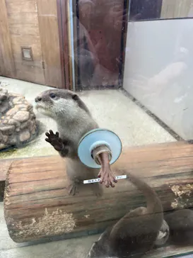 横浜・八景島シーパラダイスに投稿された画像（2022/11/15）