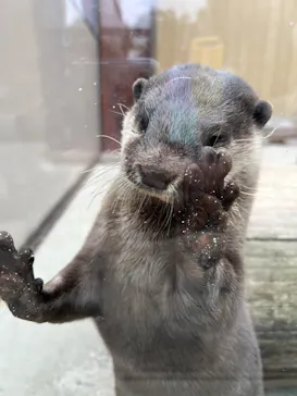 横浜・八景島シーパラダイスに投稿された画像（2022/11/15）