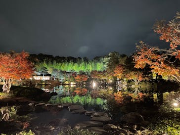国営昭和記念公園 秋の夜散歩に投稿された画像（2022/11/15）