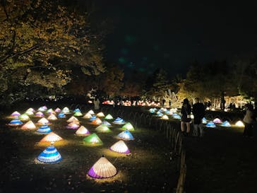 国営昭和記念公園 秋の夜散歩に投稿された画像（2022/11/15）