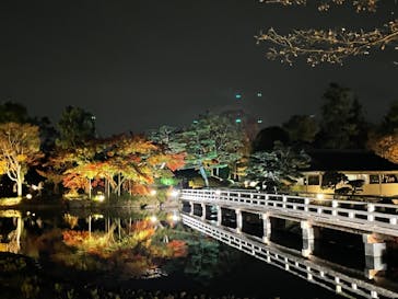 国営昭和記念公園 秋の夜散歩に投稿された画像（2022/11/15）