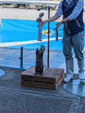 大分マリーンパレス水族館 「うみたまご」に投稿された画像（2022/11/15）