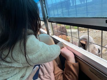 那須サファリパークに投稿された画像（2022/11/15）