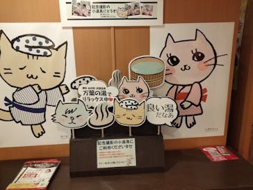 アソビュー株式会社 154200に投稿された画像（2022/11/15）