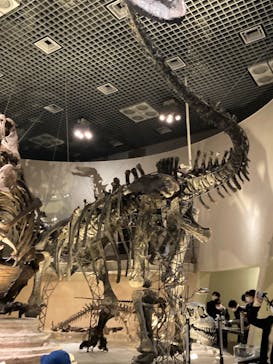 国立科学博物館に投稿された画像（2022/11/15）