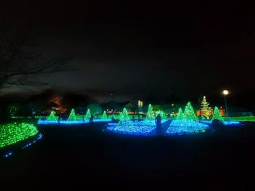 なばなの里に投稿された画像（2022/11/15）