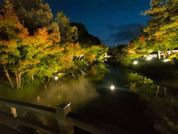 なばなの里に投稿された画像（2022/11/15）