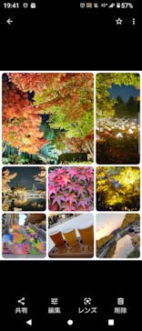 国営昭和記念公園 秋の夜散歩に投稿された画像（2022/11/15）