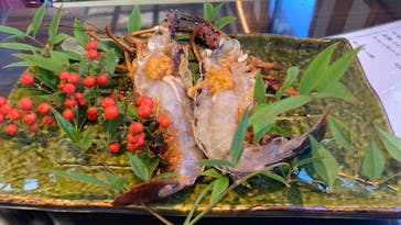 鳥羽　海鮮料理　屋形船　おきたに投稿された画像（2022/11/15）