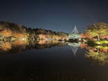 国営昭和記念公園 秋の夜散歩に投稿された画像（2022/11/15）