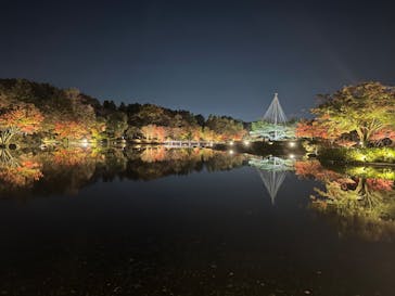 国営昭和記念公園 秋の夜散歩に投稿された画像（2022/11/15）