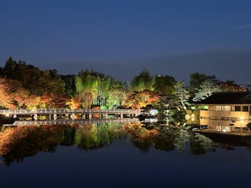 国営昭和記念公園 秋の夜散歩に投稿された画像（2022/11/15）