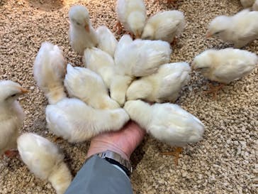 Moff animal cafe MARKIS 福岡ももち店に投稿された画像（2022/11/15）