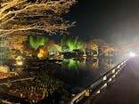 国営昭和記念公園 秋の夜散歩に投稿された画像（2022/11/15）