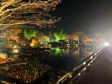 国営昭和記念公園 秋の夜散歩に投稿された画像（2022/11/15）