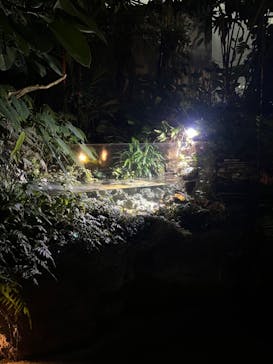 環境水族館アクアマリンふくしまに投稿された画像（2022/11/15）