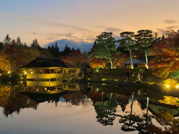 国営昭和記念公園 秋の夜散歩に投稿された画像（2022/11/15）