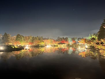 国営昭和記念公園 秋の夜散歩に投稿された画像（2022/11/15）