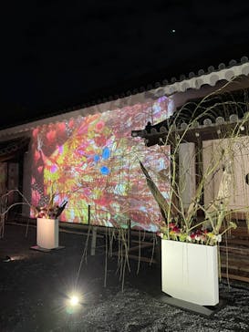 NAKED FLOWERS 2022 秋 世界遺産・二条城に投稿された画像（2022/11/15）