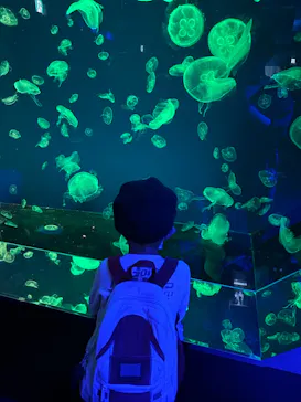 名古屋港水族館に投稿された画像（2022/11/15）