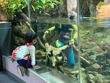 名古屋港水族館に投稿された画像（2022/11/15）