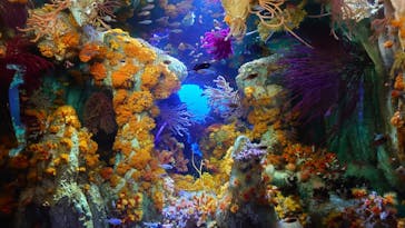 サンシャイン水族館に投稿された画像（2022/11/15）