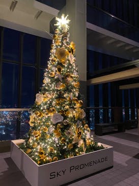 屋外展望台スカイプロムナードに投稿された画像（2022/11/15）