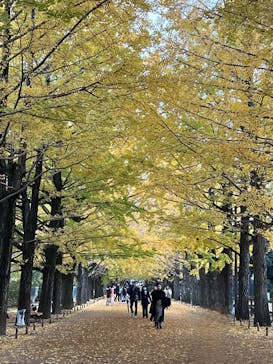 国営昭和記念公園 秋の夜散歩に投稿された画像（2022/11/15）