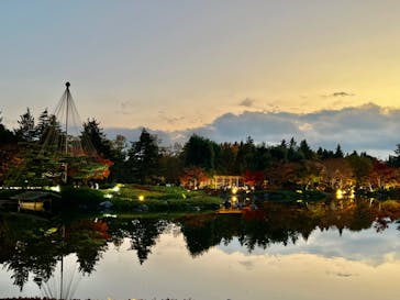 国営昭和記念公園 秋の夜散歩に投稿された画像（2022/11/15）