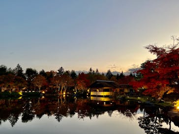国営昭和記念公園 秋の夜散歩に投稿された画像（2022/11/15）