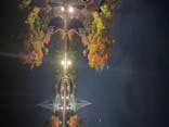 国営昭和記念公園 秋の夜散歩に投稿された画像（2022/11/16）