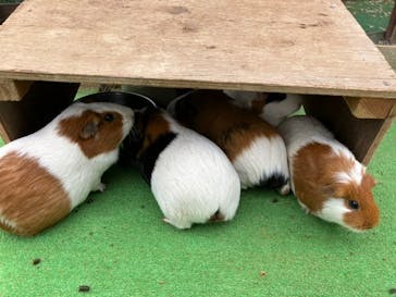 那須高原りんどう湖ファミリー牧場に投稿された画像（2022/11/16）