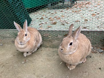 那須高原りんどう湖ファミリー牧場に投稿された画像（2022/11/16）