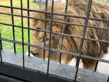 那須サファリパークに投稿された画像（2022/11/16）