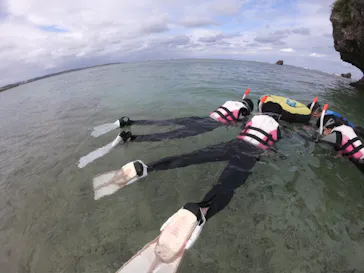 武藤潜水に投稿された画像（2022/11/16）