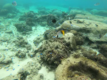 武藤潜水に投稿された画像（2022/11/16）