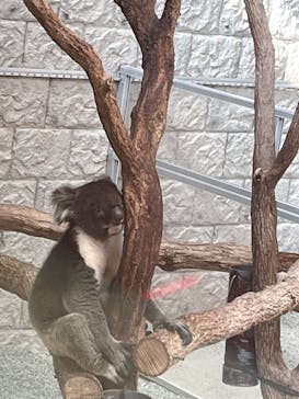 淡路ファームパーク イングランドの丘に投稿された画像（2022/11/16）