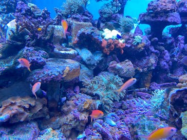 サンシャイン水族館に投稿された画像（2022/11/16）