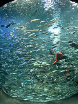 サンシャイン水族館に投稿された画像（2022/11/16）