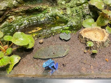 サンシャイン水族館に投稿された画像（2022/11/16）