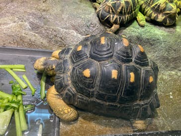 サンシャイン水族館に投稿された画像（2022/11/16）