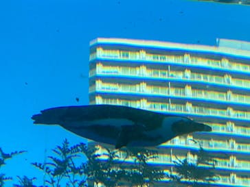 サンシャイン水族館に投稿された画像（2022/11/16）