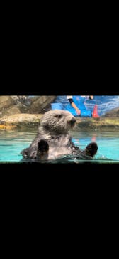 マリンワールド海の中道に投稿された画像（2022/11/16）