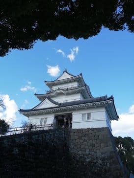 小田原城に投稿された画像（2022/11/16）