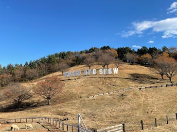 伊香保グリーン牧場に投稿された画像（2022/11/16）