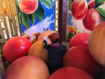 鈴鹿サーキットに投稿された画像（2022/11/16）