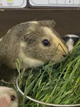 天王寺動物園に投稿された画像（2022/11/16）
